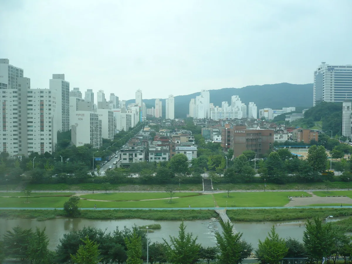 강과 공원 너머로 보이는 아파트 단지 풍경